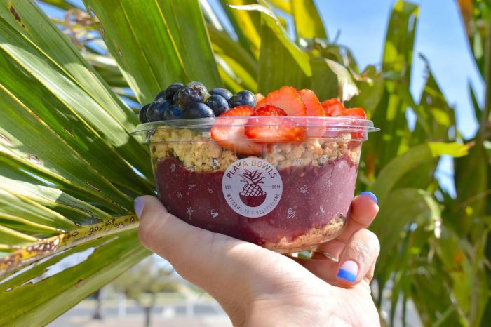 Playa bowls nutrition facts