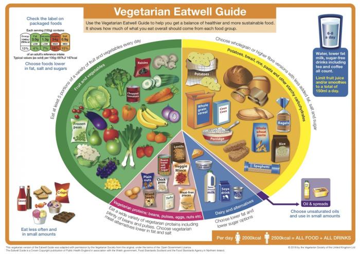 Ratgeber gesunde ernährung pdf